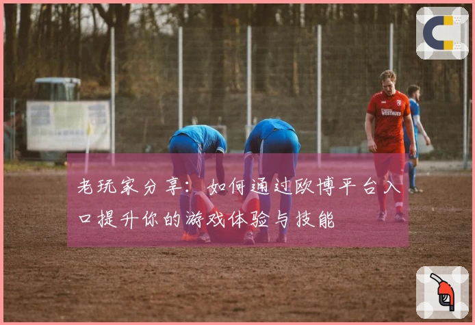 老玩家分享：如何通过欧博平台入口提升你的游戏体验与技能