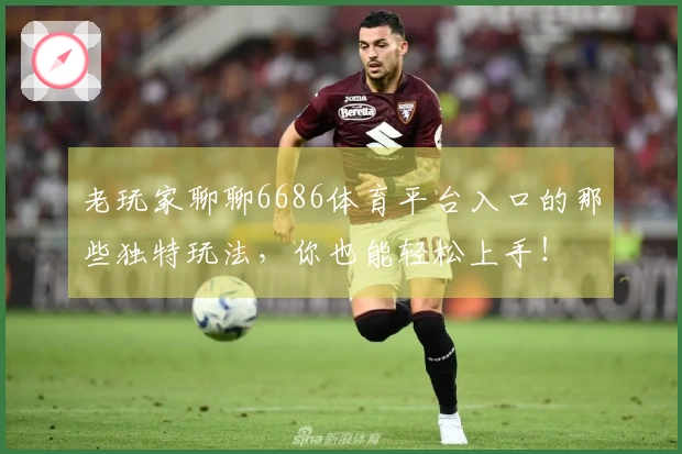 老玩家聊聊6686体育平台入口的那些独特玩法，你也能轻松上手！