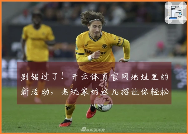 别错过了！开云体育官网地址里的新活动，老玩家的这几招让你轻松拿满奖励