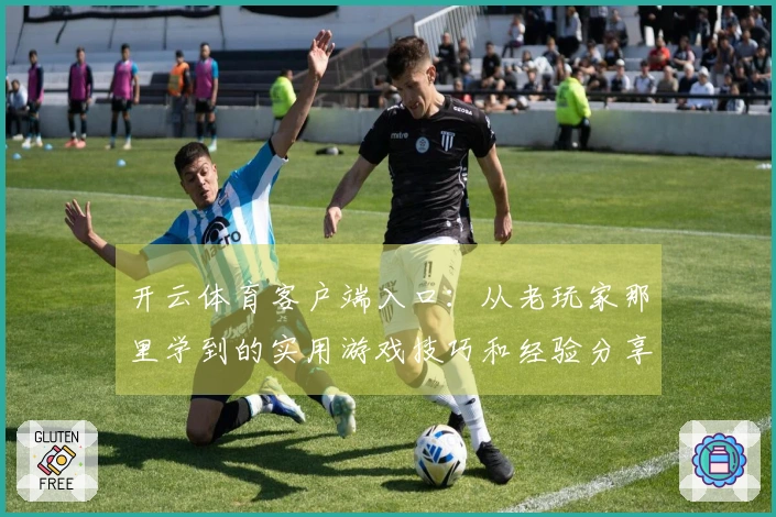 开云体育客户端入口：从老玩家那里学到的实用游戏技巧和经验分享